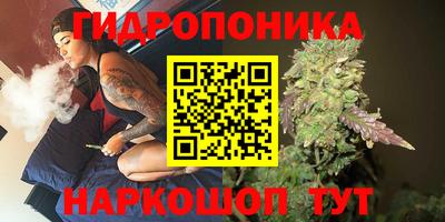 гидропоника Кохма