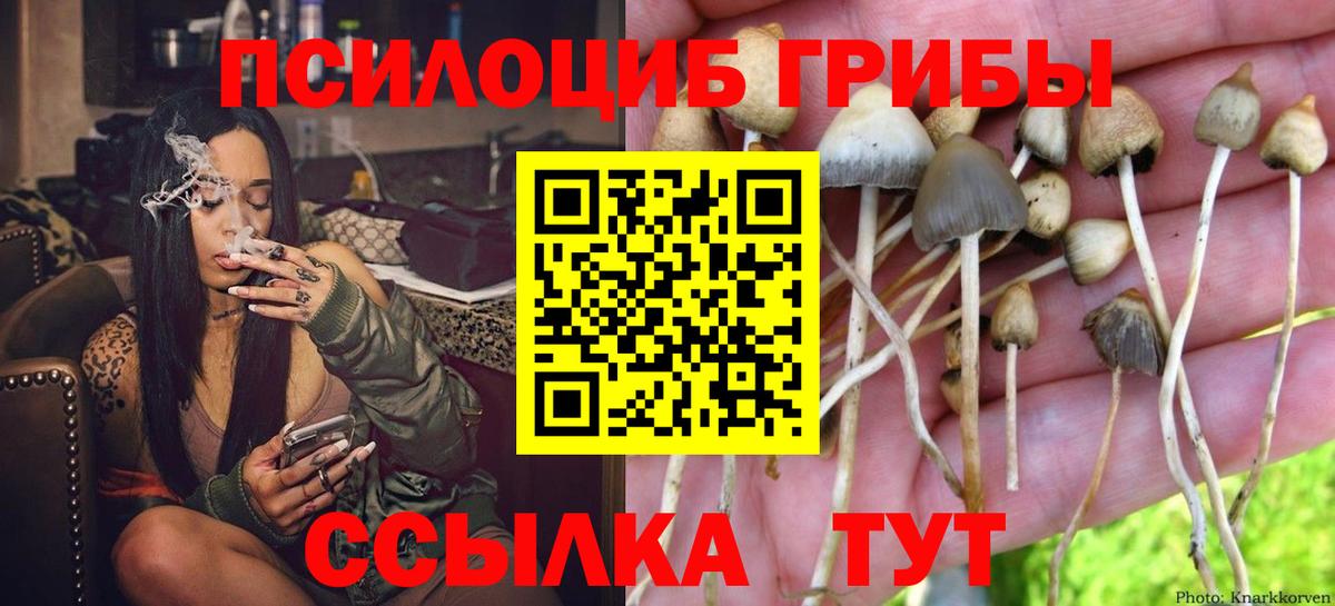 Галлюциногенные грибы прущие грибы Новодвинск