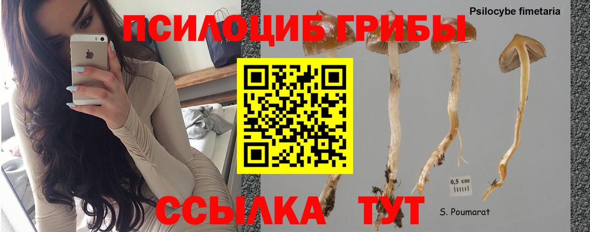 Псилоцибиновые грибы мухоморы  Вход с VPN  Новодвинск  Псилоцибиновые грибы Cubensis 