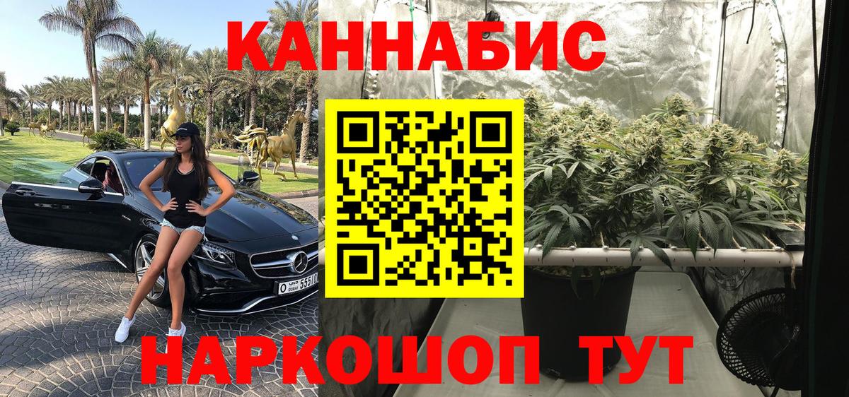 Новодвинск  Шишки марихуана Amnesia  Вход с VPN  Марихуана планчик 